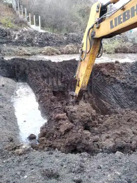 Виїмка торфу в Києві та області