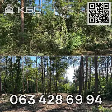 Оренда мульчера в Києві та області