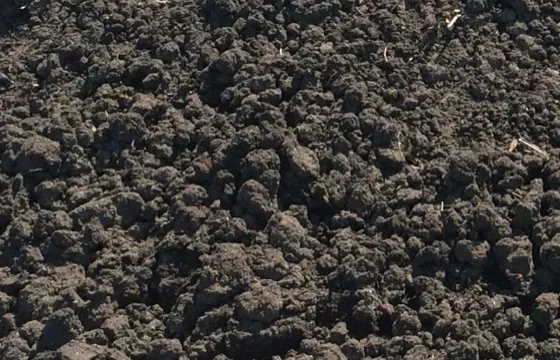 Торф рослинний