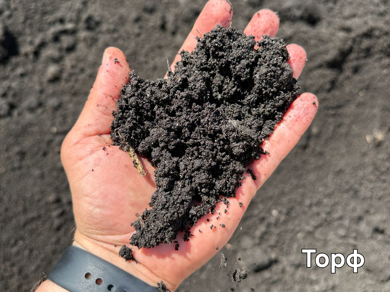 Торф