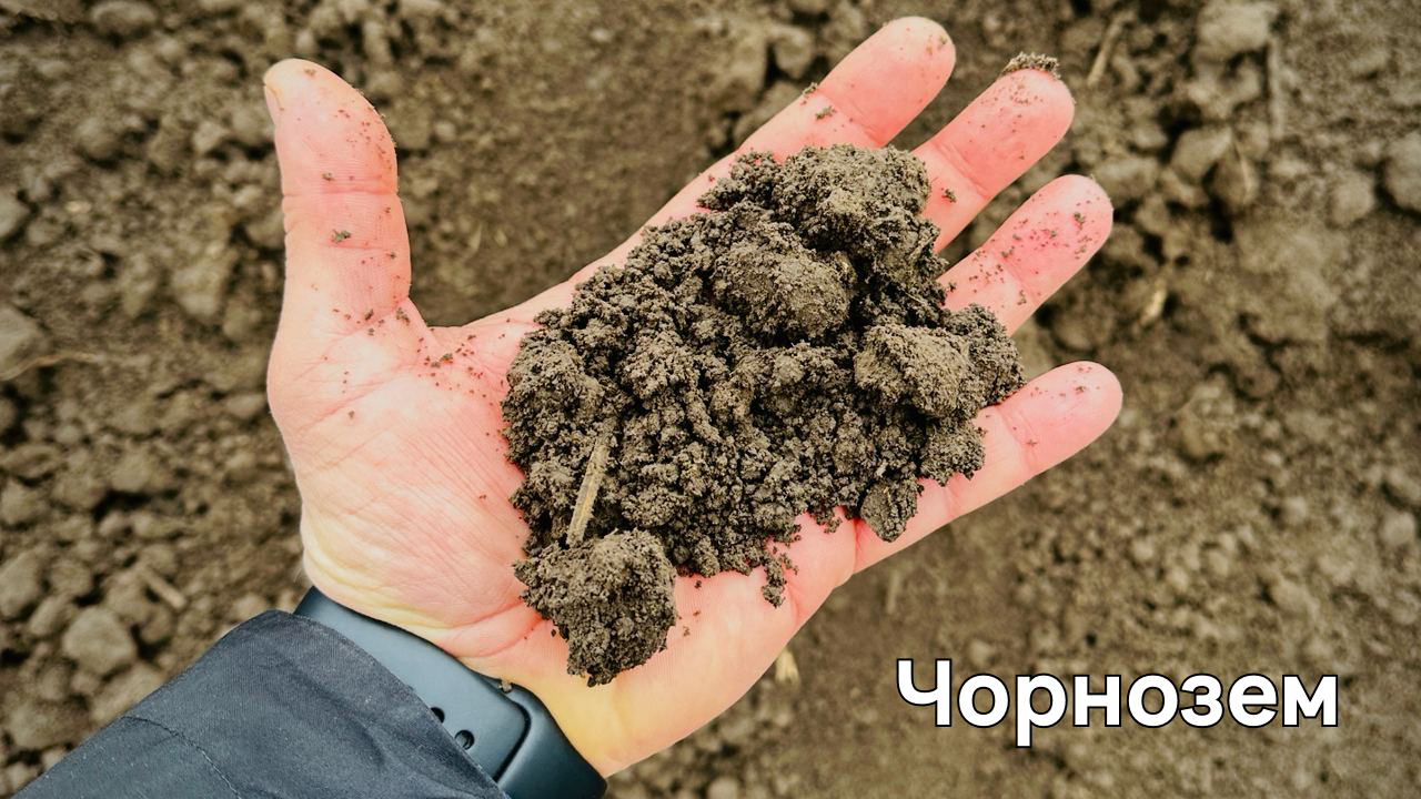 Чорнозем